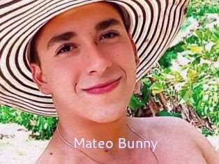 Mateo_Bunny