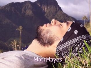 MattHayes