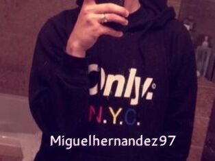 Miguel_hernandez97