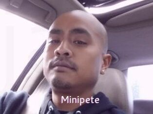 Minipete