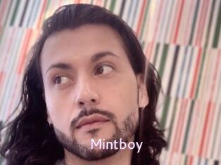 Mintboy