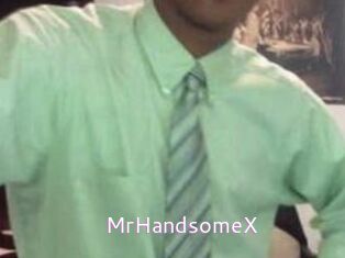 MrHandsomeX