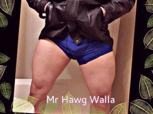 Mr_Hawg_Walla