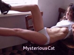 MysteriousCat