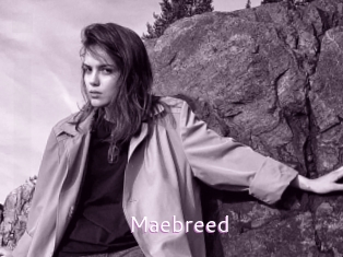 Maebreed