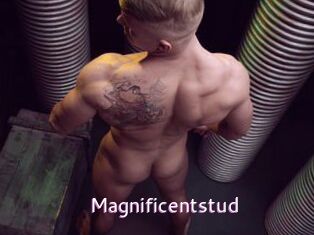 Magnificentstud