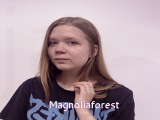 Magnoliaforest