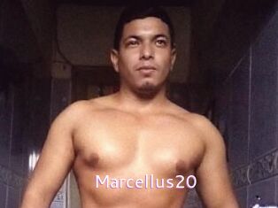 Marcellus20