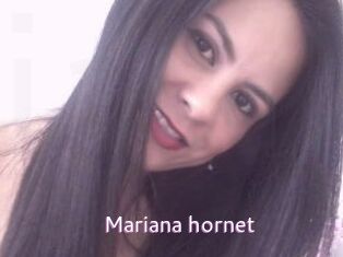 Mariana_hornet