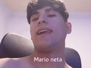 Mario_neta