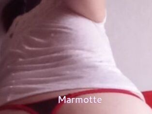 Marmotte