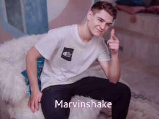 Marvinshake