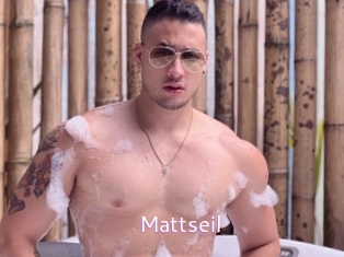 Mattseil
