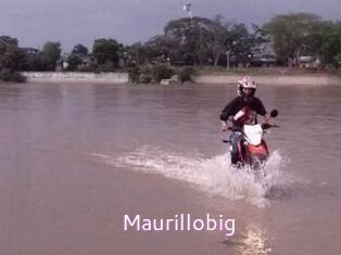 Maurillobig