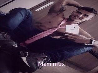 Maxi_mux