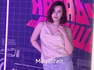 Meganfelt