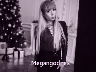 Megangodnes