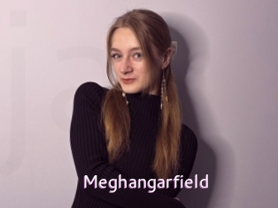 Meghangarfield