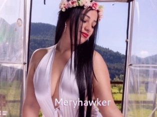 Meryhawker