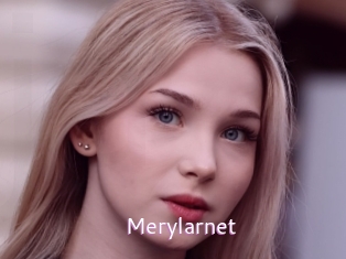 Merylarnet