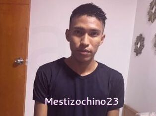 Mestizochino23