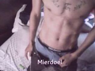 Mierdoel