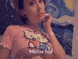 Mollie_fox