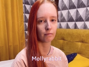 Mollyrabbit