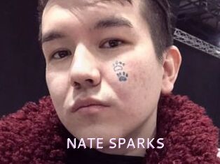 NATE_SPARKS