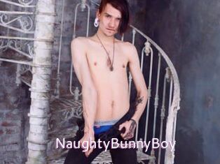 NaughtyBunnyBoy