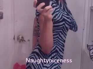 Naughtyniceness