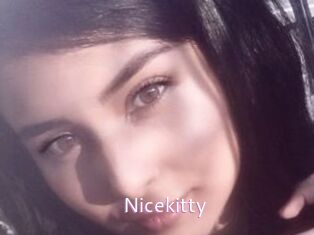 Nicekitty