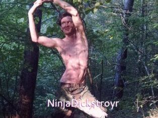 NinjaDickstroyr