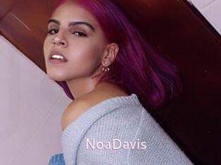 NoaDavis