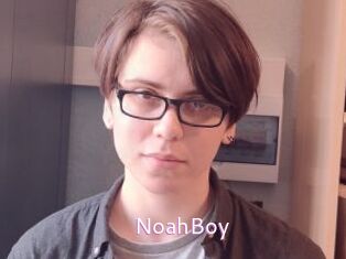NoahBoy
