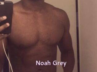 Noah_Grey