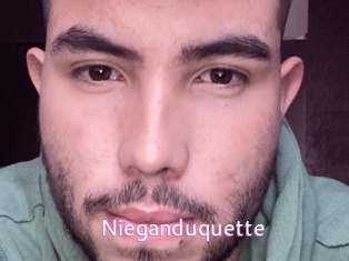 Nieganduquette