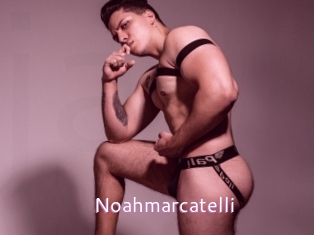 Noahmarcatelli