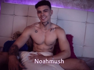 Noahmush