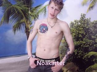 Noakarter