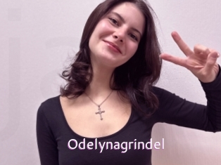 Odelynagrindel