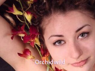 Orchidwild