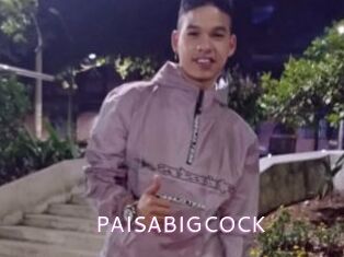 PAISABIGCOCK