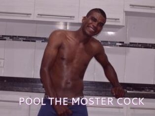 POOL_THE_MOSTER_COCK