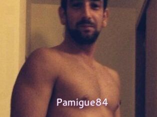 Pamigue84