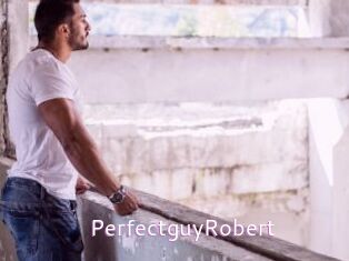 PerfectguyRobert