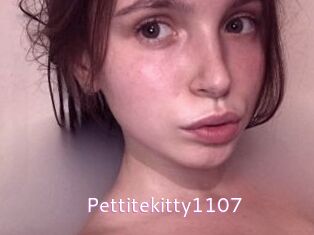 Pettitekitty1107