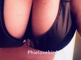 Phielovebird