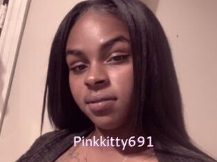 Pinkkitty691