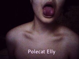 Polecat_Elly